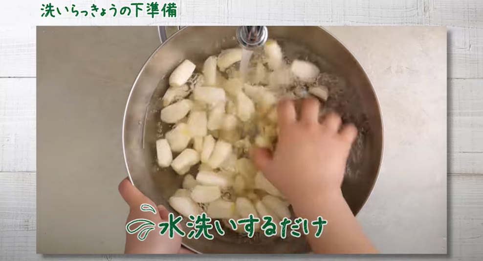 2_らっきょうを洗う.png