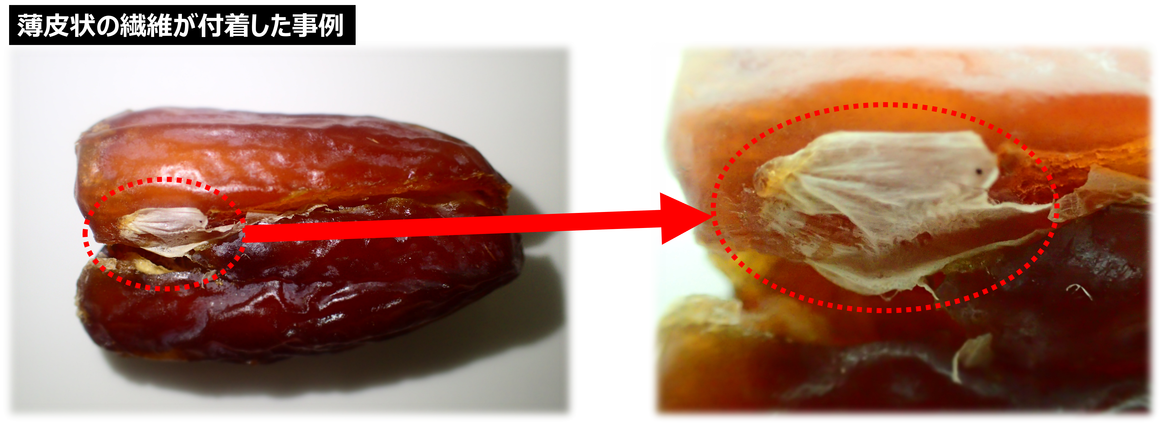 薄皮状の繊維が付着した事例.png