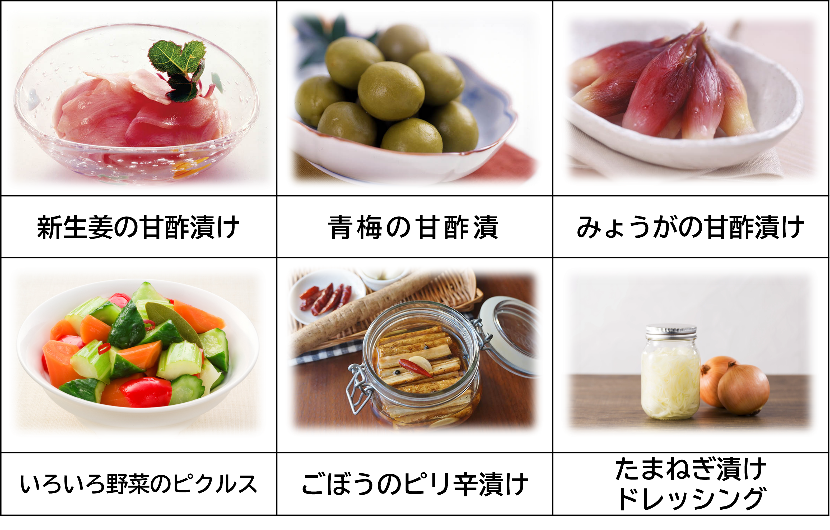 らっきょう酢活用レシピ6品_260603.png